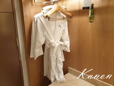 f:id:kanon758:20210528132152j:plain