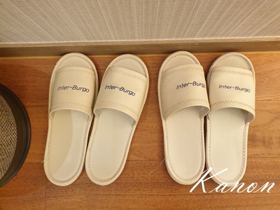 f:id:kanon758:20210528132800j:plain