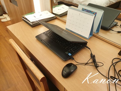 f:id:kanon758:20210528133158j:plain