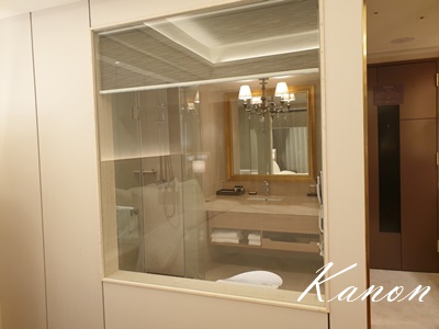 f:id:kanon758:20210528133612j:plain