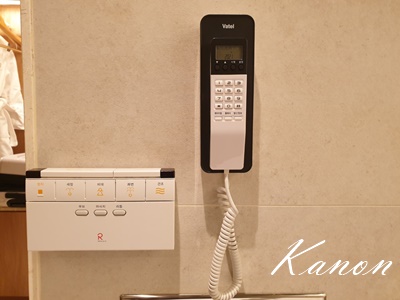 f:id:kanon758:20210528133710j:plain
