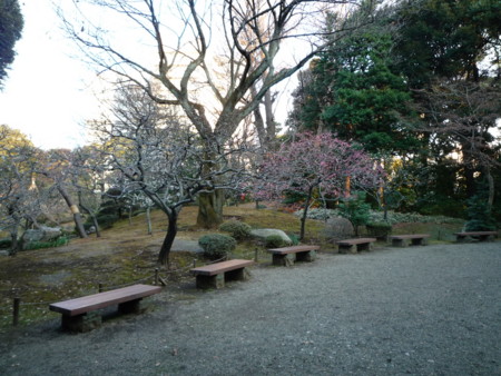 f:id:kanonminase:20100220162414j:image