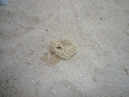 f:id:kanonminase:20100503115251j:image