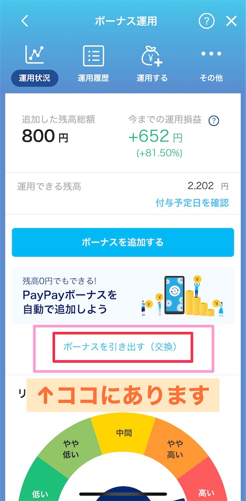 f:id:kanontuminisa:20210313222040j:plain
