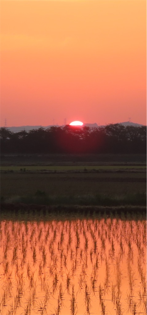 f:id:kanonya:20230519134250j:image
