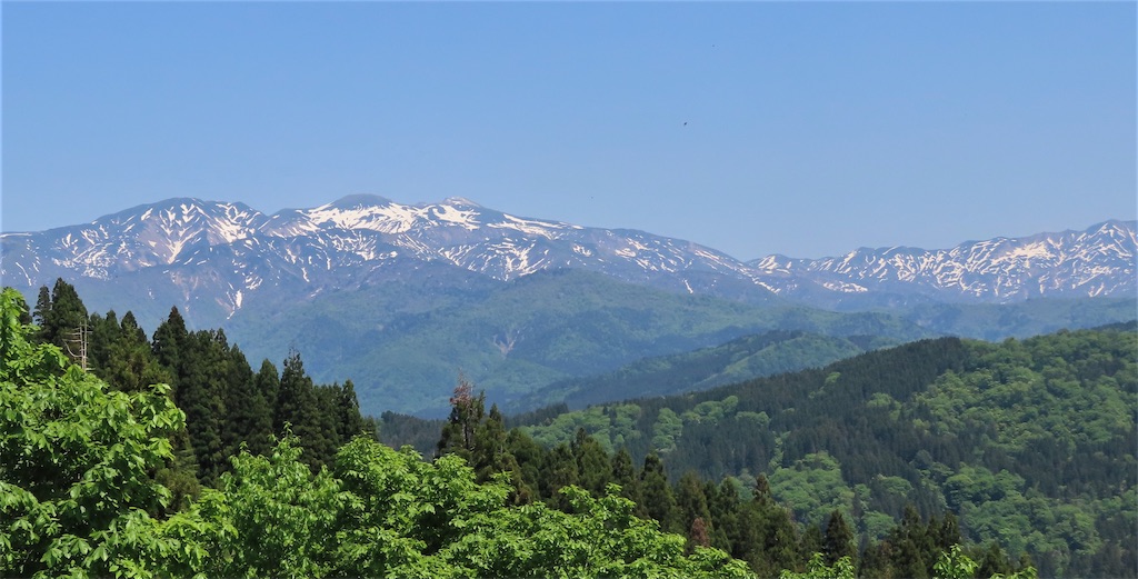 f:id:kanonya:20230519134455j:image