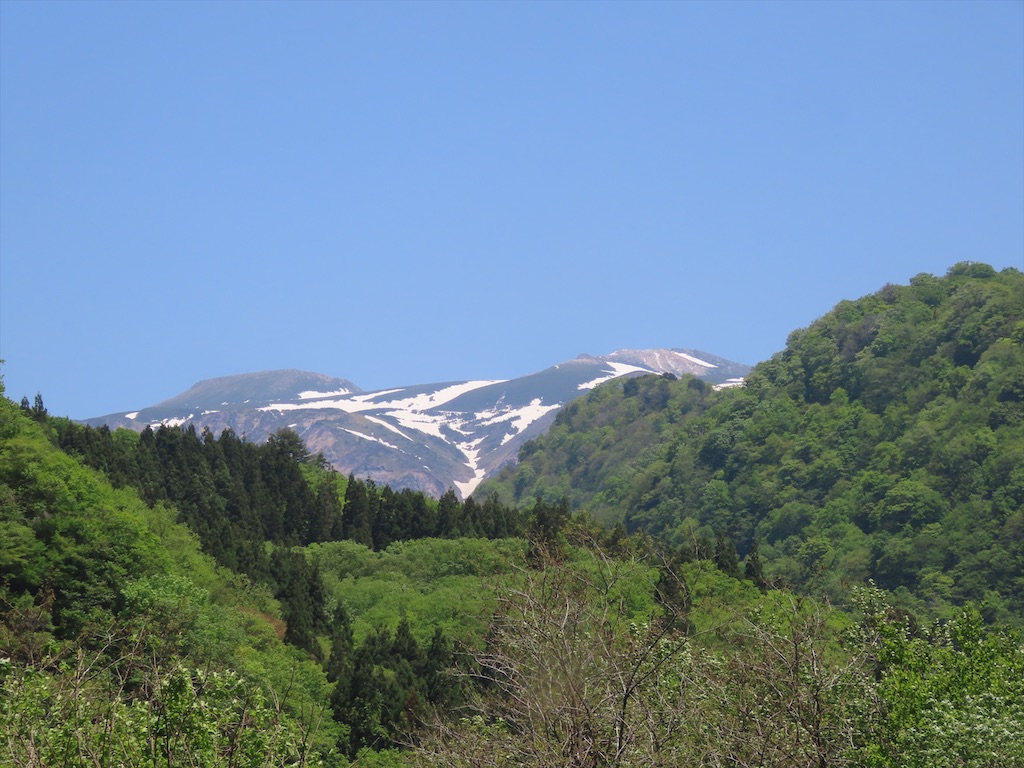 f:id:kanonya:20230519134500j:image
