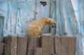 [上野][上野動物公園]