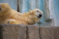 [上野][上野動物公園]