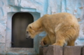 [上野][上野動物公園]