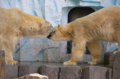 [上野][上野動物公園]