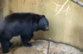 [上野][上野動物公園]