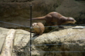 [上野][上野動物公園]