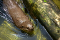 [上野][上野動物公園]