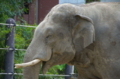 [上野][上野動物公園]