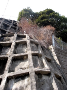 f:id:kanototori:20090321194120j:image