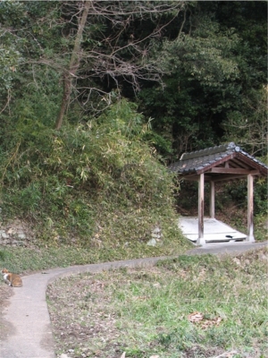 f:id:kanototori:20090902001943j:image f:id:kanototori:20090902001943j:image