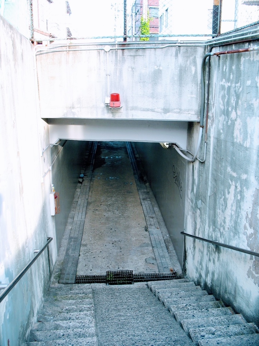 f:id:kanototori:20210709234431j:plain