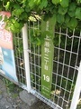 安芸区