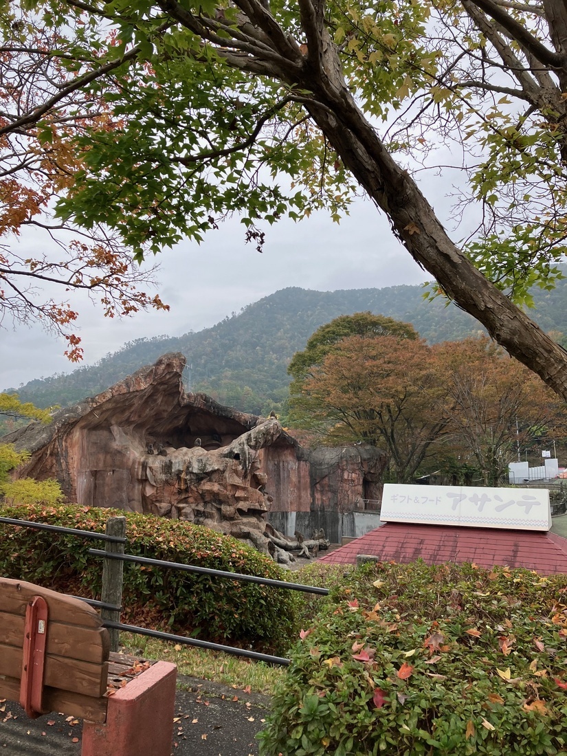 安佐北区