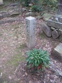 安芸高田市