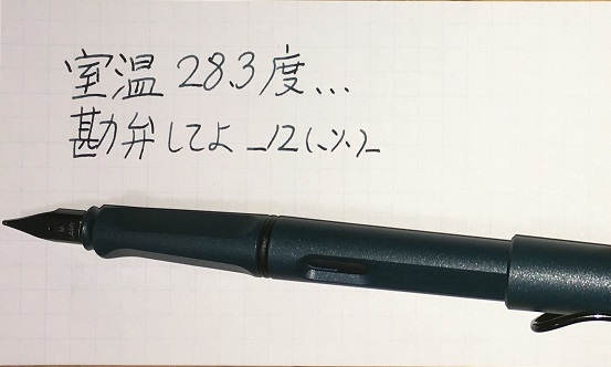 f:id:kanoyama:20170522235021j:plain f:id:kanoyama:20170522235021j:plain