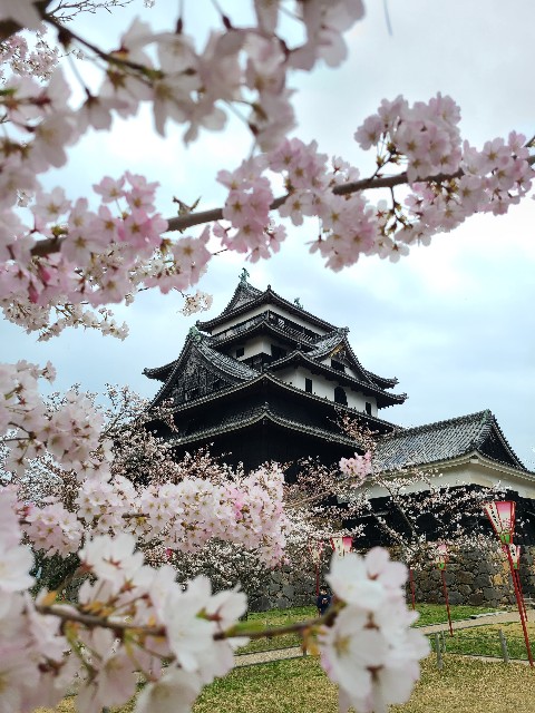 f:id:kanpo921:20220331070434j:image f:id:kanpo921:20220331070434j:image