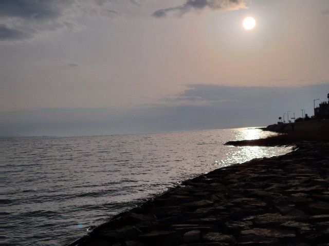 f:id:kanpo921:20220331070628j:image f:id:kanpo921:20220331070628j:image