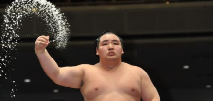 「大相撲鶴竜無料写真」の画像検索結果