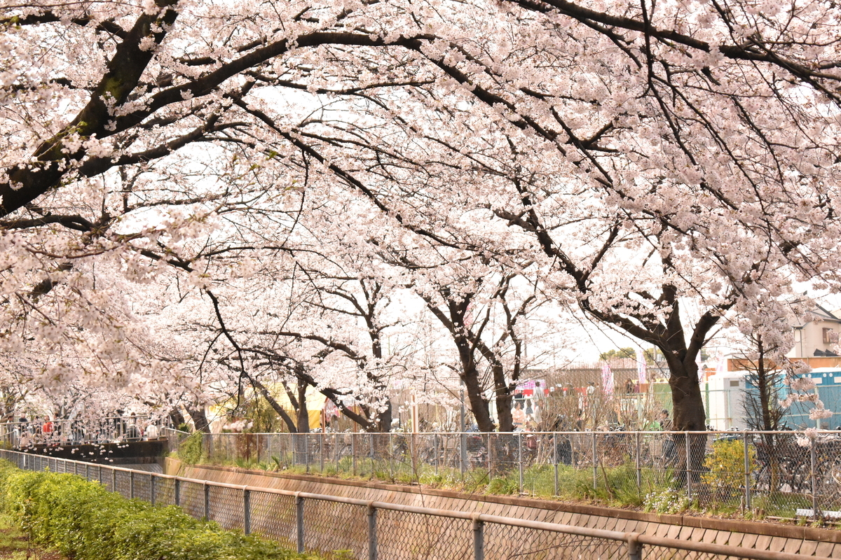 f:id:kansaiA_radio:20190401194930j:plain f:id:kansaiA_radio:20190401194930j:plain
