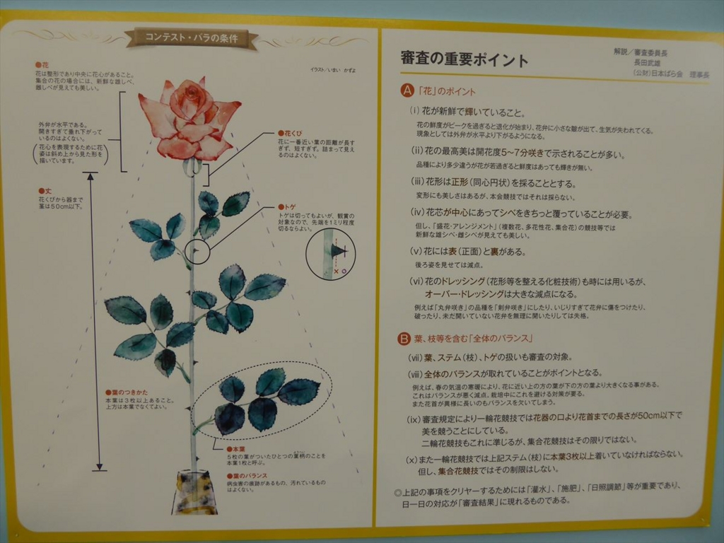 f:id:kansairose:20170309230903j:plain f:id:kansairose:20170309230903j:plain