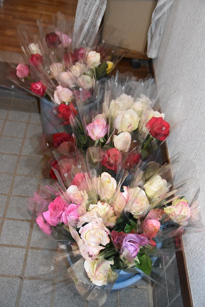 f:id:kansairose:20210511212045j:plain