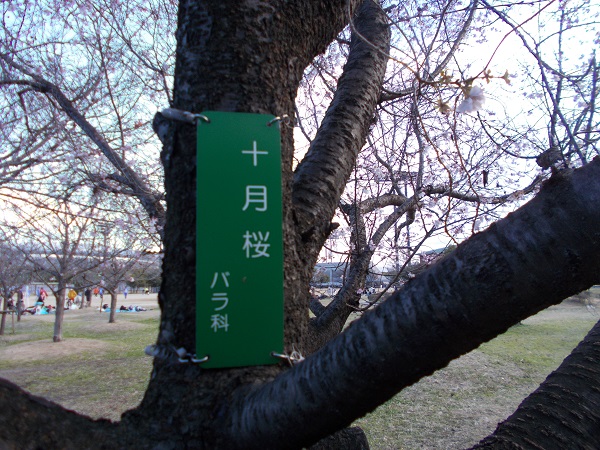 f:id:kansairose:20211219200730j:plain
