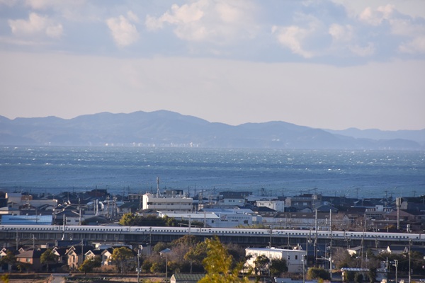 接ぎ木をしました - 関西ばら会
