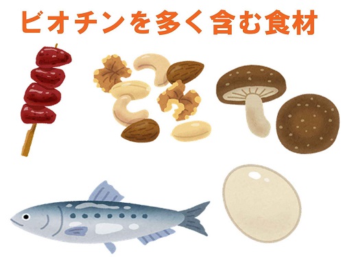 ビオチンを多く含む食品