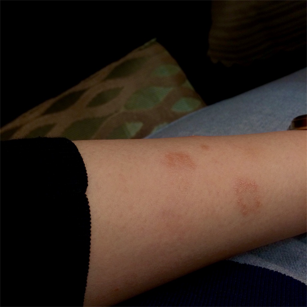 f:id:kansent:20161226200051j:plain