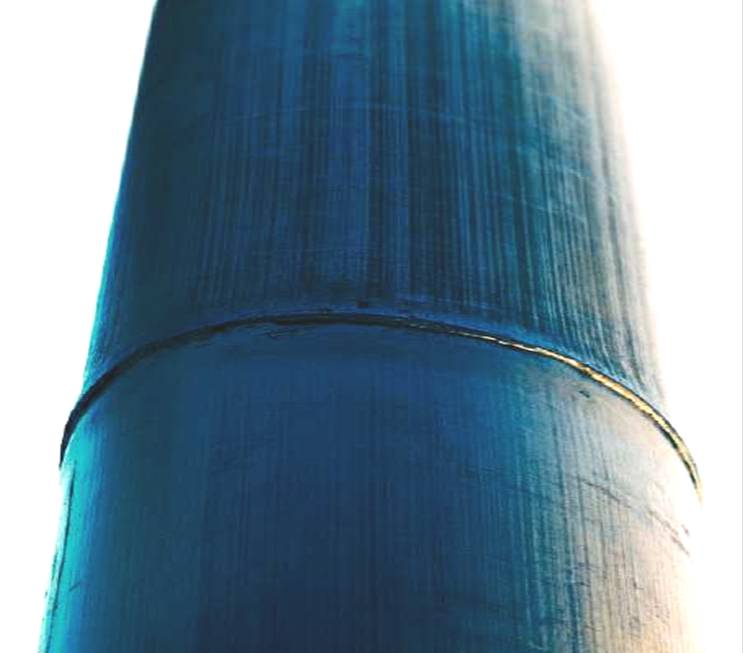 The story of a crazy blue bamboo :　KENZO pour hommeの画像