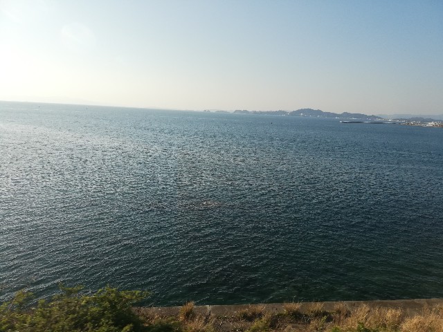 f:id:kansmt:20190404225450j:image f:id:kansmt:20190404225450j:image