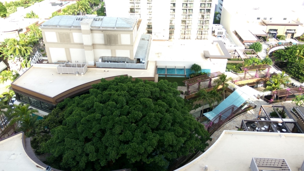 f:id:kansou-onsen:20171017083601j:plain f:id:kansou-onsen:20171017083601j:plain