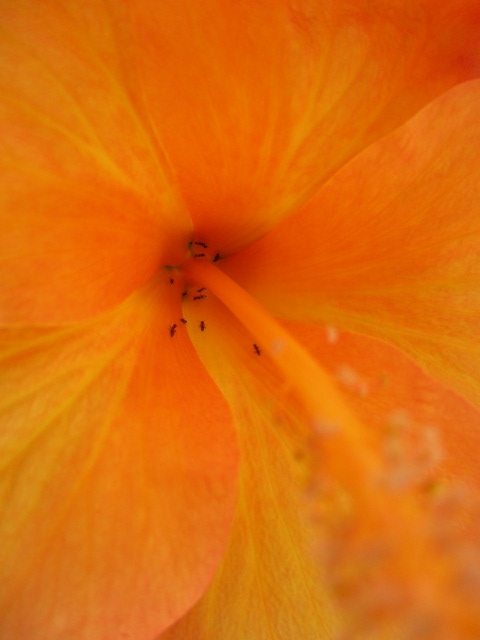 f:id:kansya22:20160820173308j:plain