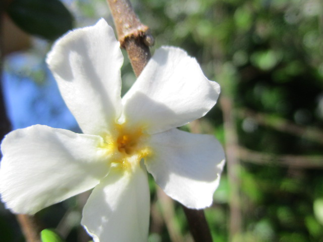 f:id:kansya22:20160827155808j:plain