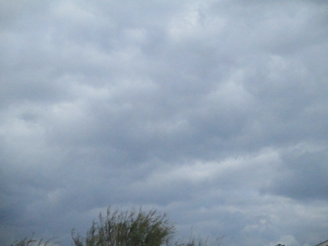 f:id:kansya22:20170211145428j:plain f:id:kansya22:20170211145428j:plain