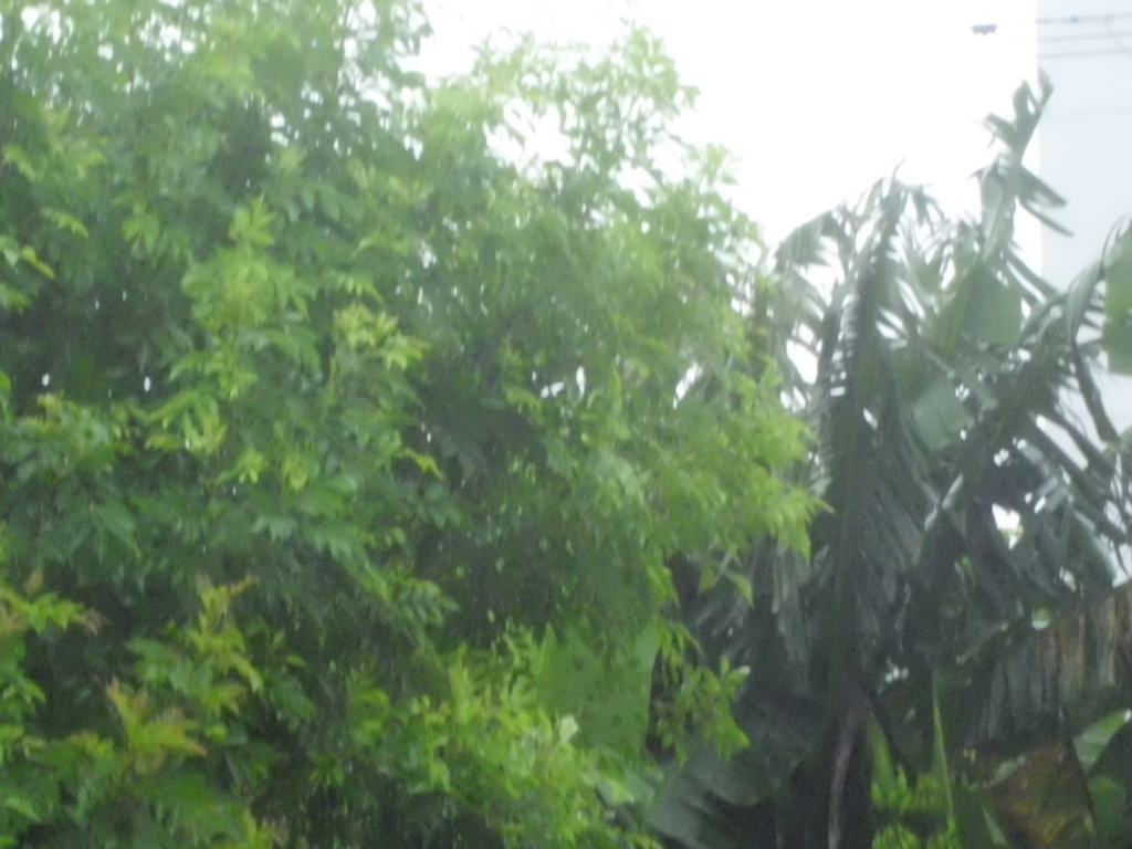 f:id:kansya22:20170613152503j:plain