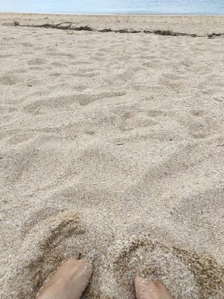 f:id:kansya22:20171104132322j:plain