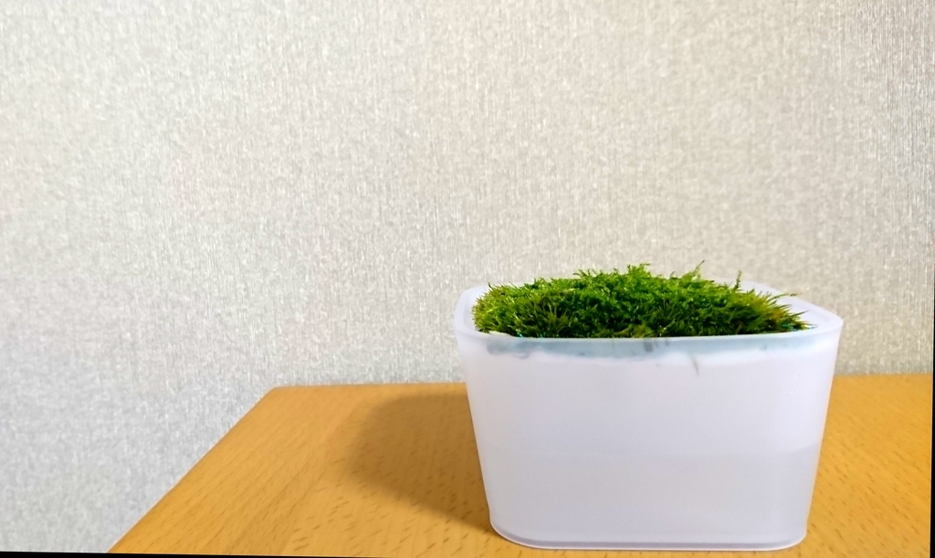 f:id:kanta-kun:20181007203158j:plain