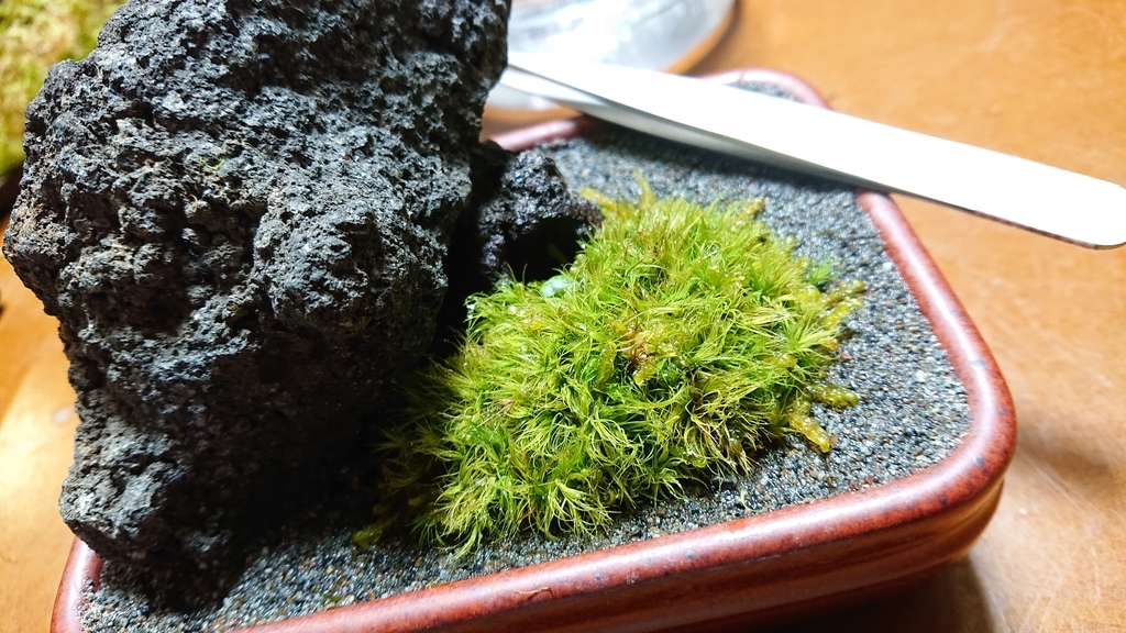 f:id:kanta-kun:20190131211306j:plain