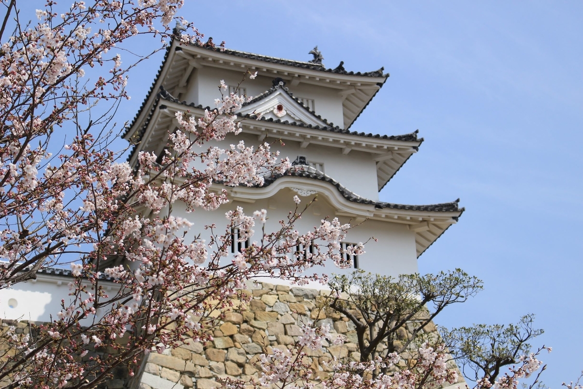 f:id:kanta1756:20190526093331j:plain