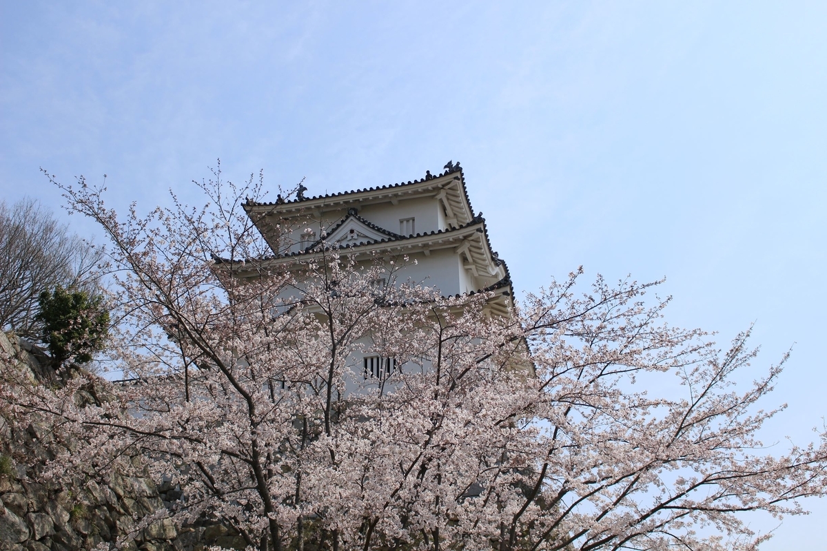 f:id:kanta1756:20190526093640j:plain