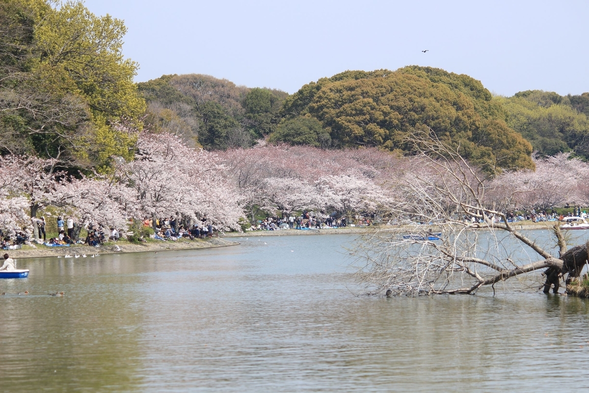 f:id:kanta1756:20190526093931j:plain