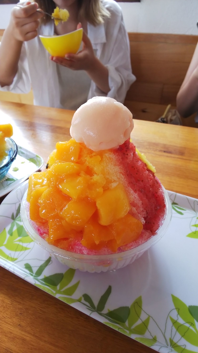 f:id:kanta1756:20190812145721j:plain f:id:kanta1756:20190812145721j:plain